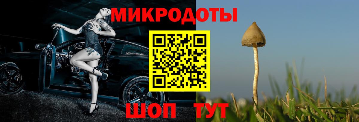 Псилоцибиновые грибы ЛСД Туймазы